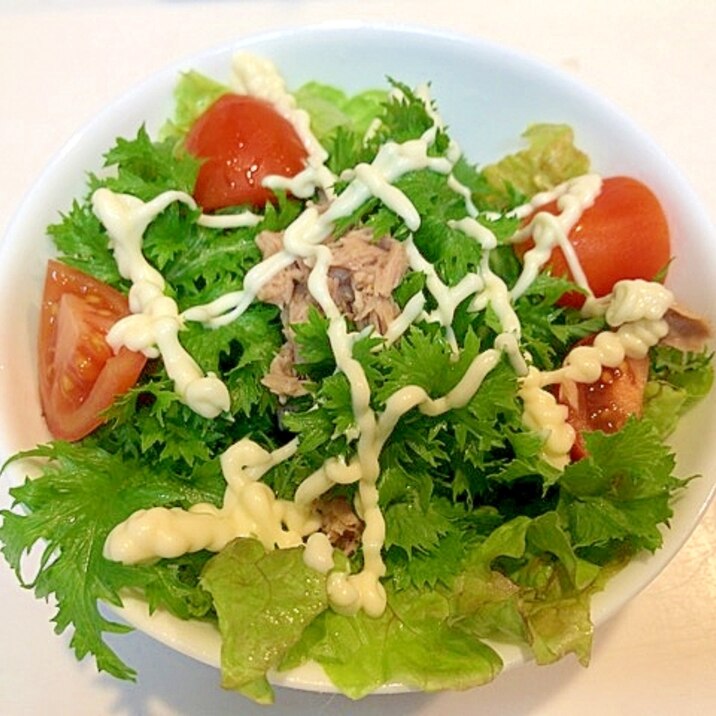 沢山頂きましょう わさび菜とトマトとツナのサラダ レシピ 作り方 By アボカドプリン 楽天レシピ 沢山頂きましょう わさび菜とトマトとツナのサラダ レシピ 作り方 By アボカドプリン 楽天レシピ